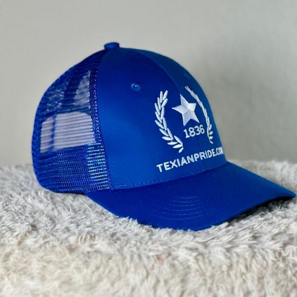 Texian Pride 1836 Lonestar Logo - Image 3