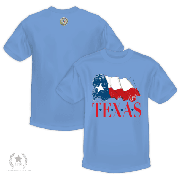 Rustic Texas Flag - Image 2